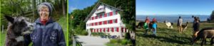 wandern jura